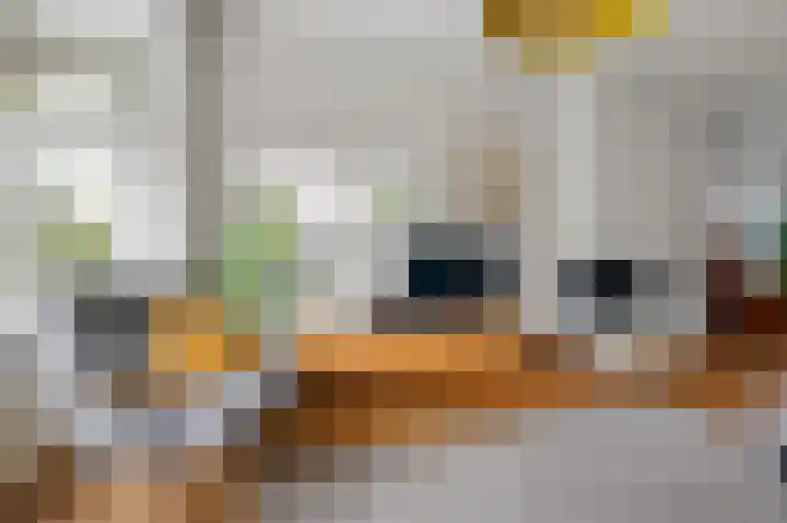 Laan van Bergen 56 Zeist thumbnail 6