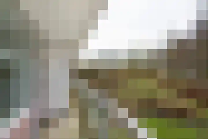 Laan van Berlijn 116 Haarlem thumbnail 11