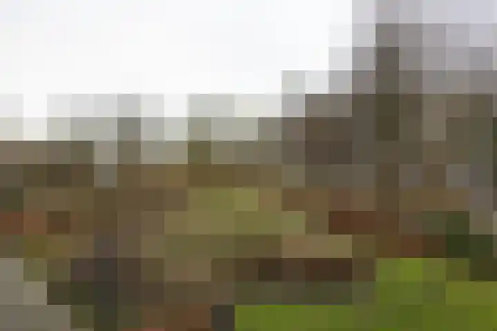 Laan van Berlijn 116 Haarlem thumbnail 13