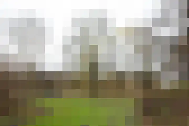 Laan van Berlijn 116 Haarlem thumbnail 24