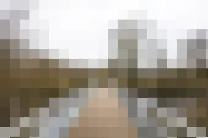 Laan van Berlijn 116 Haarlem thumbnail 25