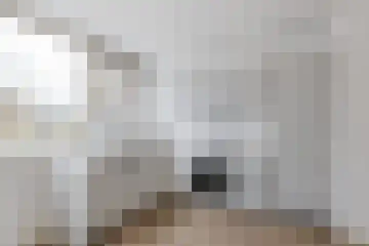 Laan van Berlijn 116 Haarlem thumbnail 7