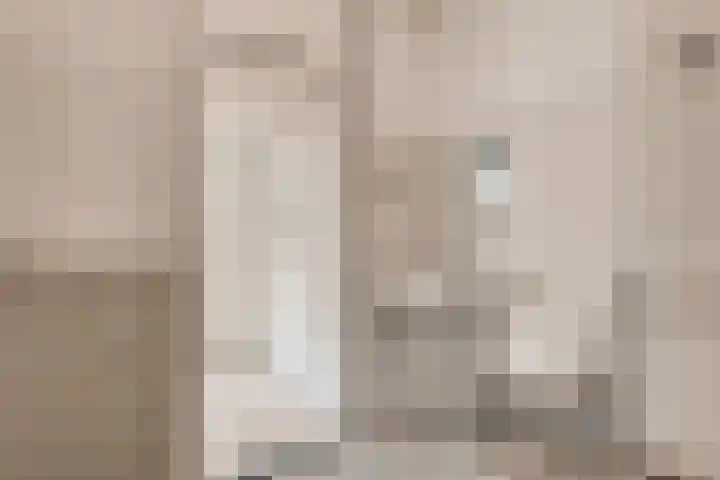 Laan van Berlijn 126 Haarlem thumbnail 18