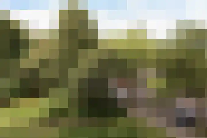 Laan van Berlijn 126 Haarlem thumbnail 22