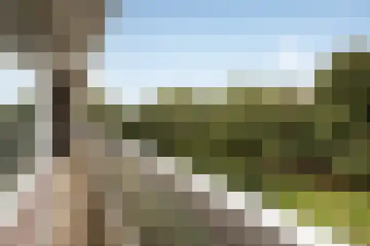 Laan van Berlijn 126 Haarlem thumbnail 25