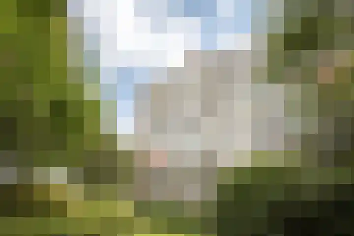Laan van Berlijn 126 Haarlem thumbnail 29