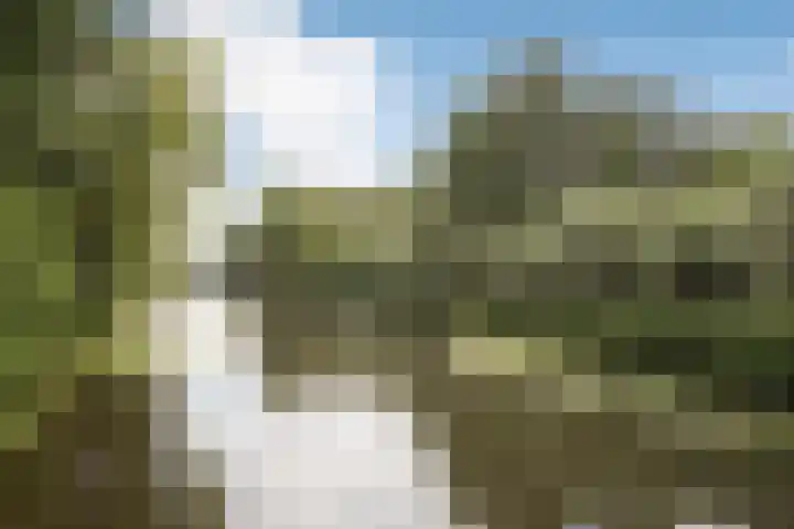 Laan van Berlijn 126 Haarlem thumbnail 31