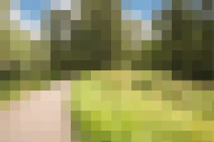 Laan van Berlijn 126 Haarlem thumbnail 32