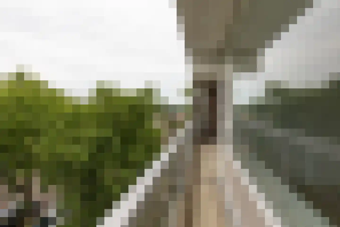 Laan van Berlijn 134 Haarlem thumbnail 12