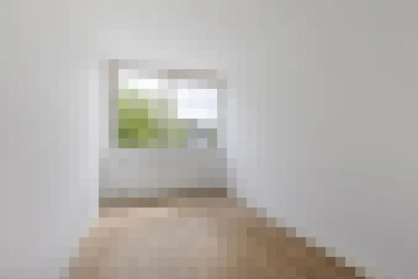 Laan van Berlijn 134 Haarlem thumbnail 18