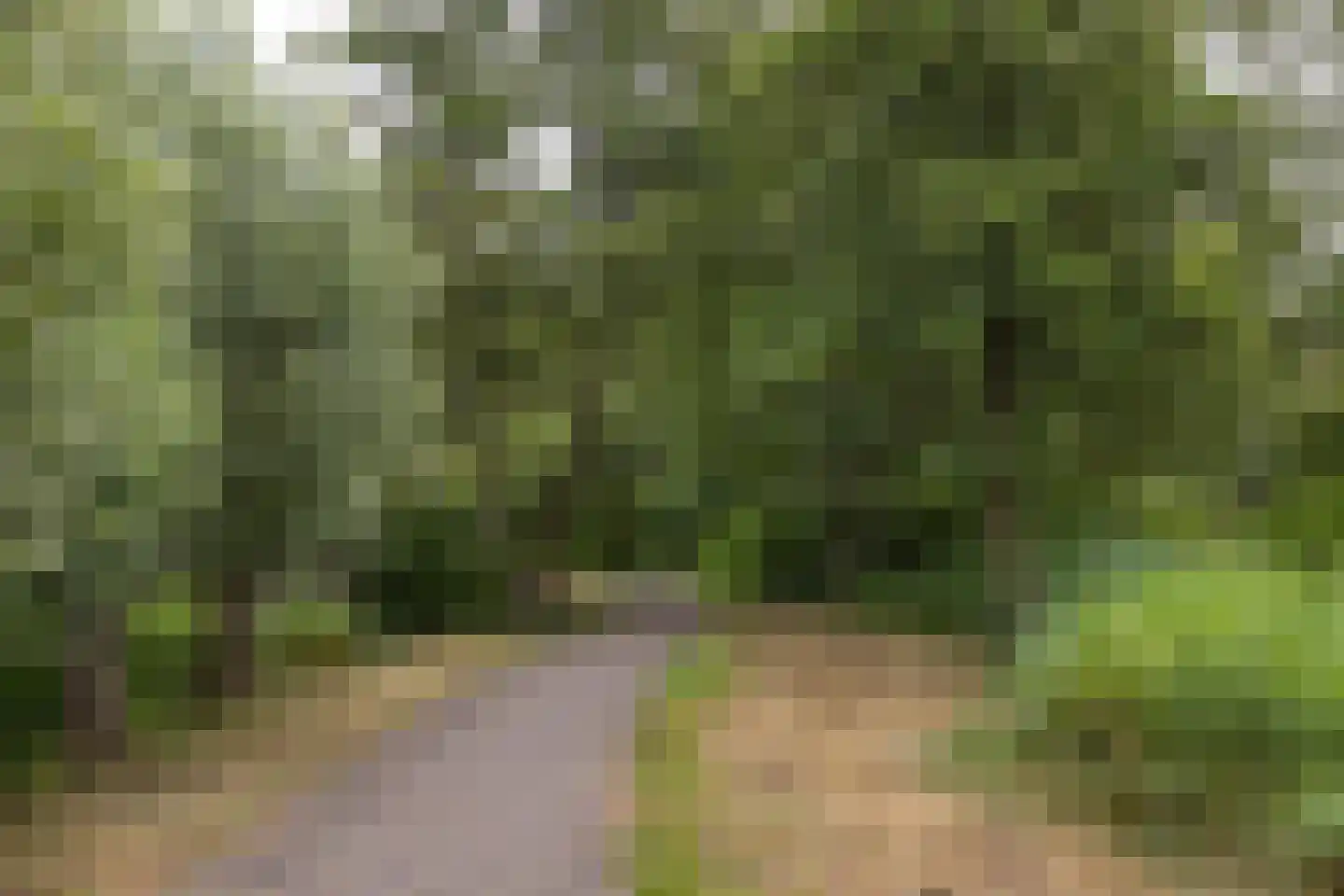 Laan van Berlijn 134 Haarlem thumbnail 32