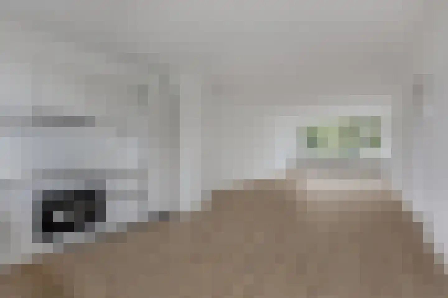 Laan van Berlijn 134 Haarlem thumbnail 8