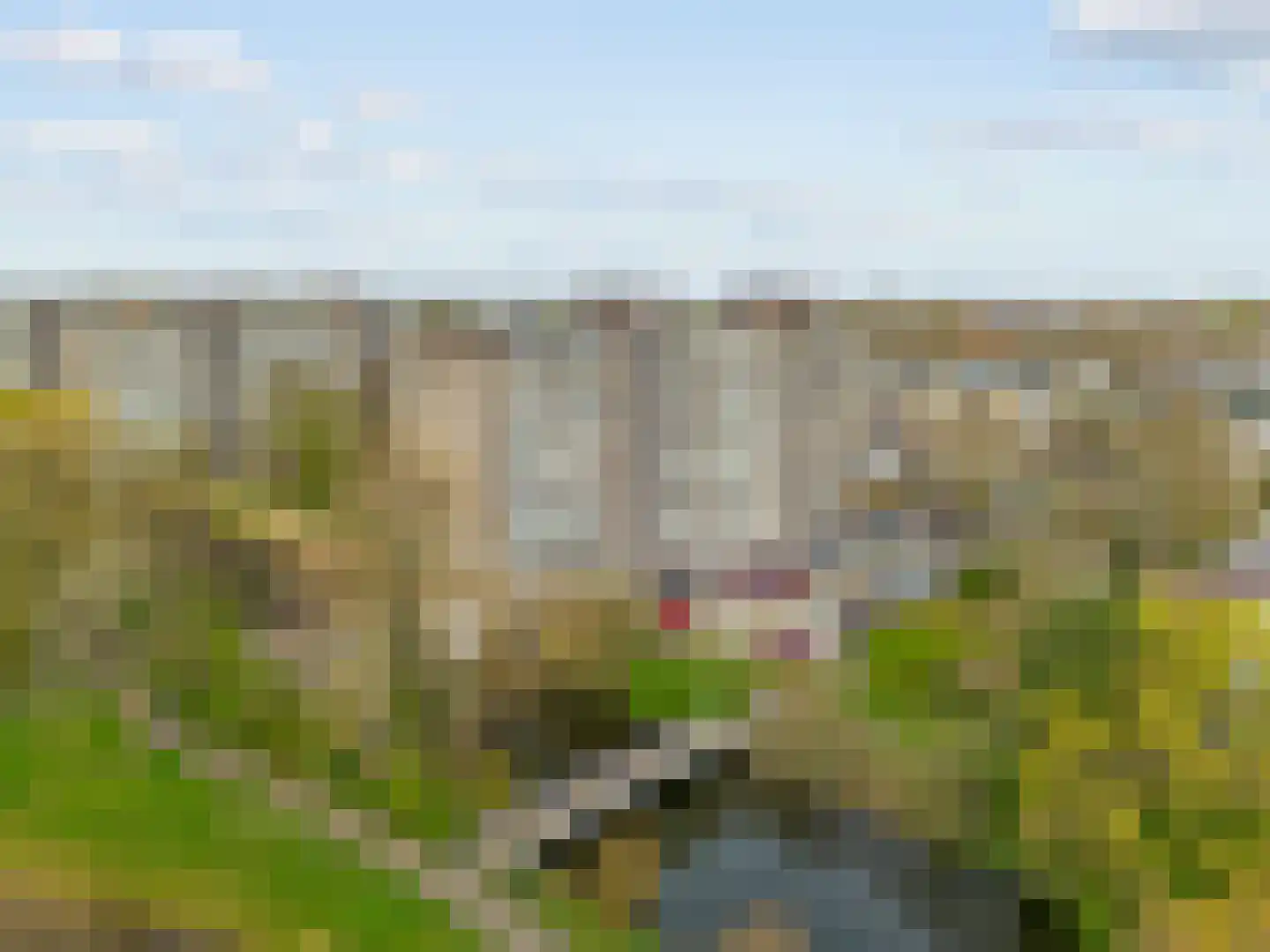 Laan van Berlijn 136 Haarlem thumbnail 11
