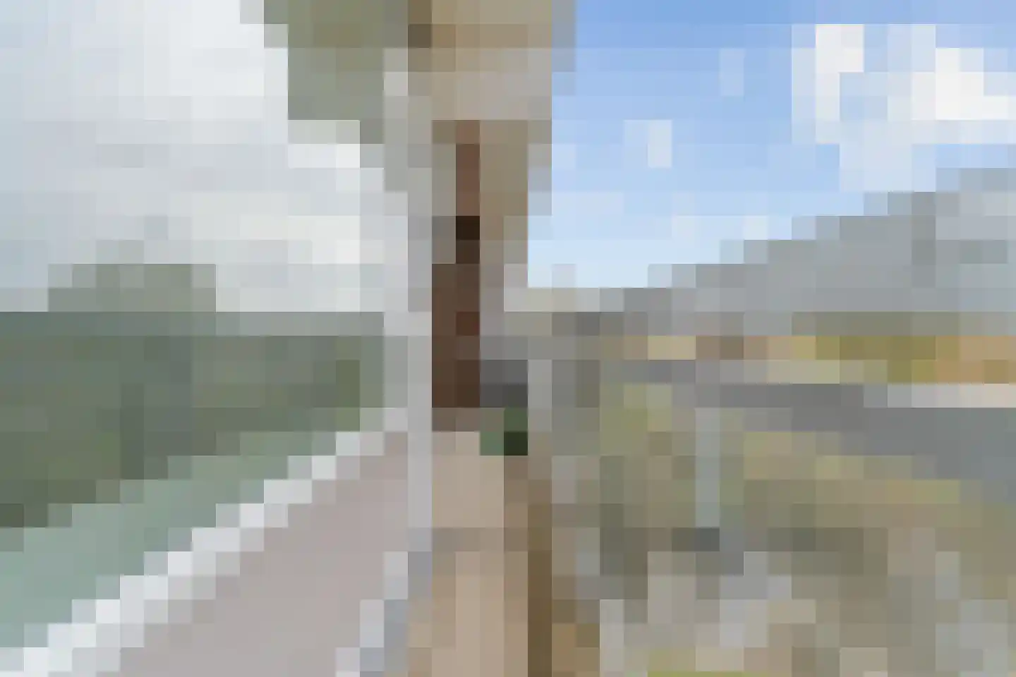 Laan van Berlijn 136 Haarlem thumbnail 28