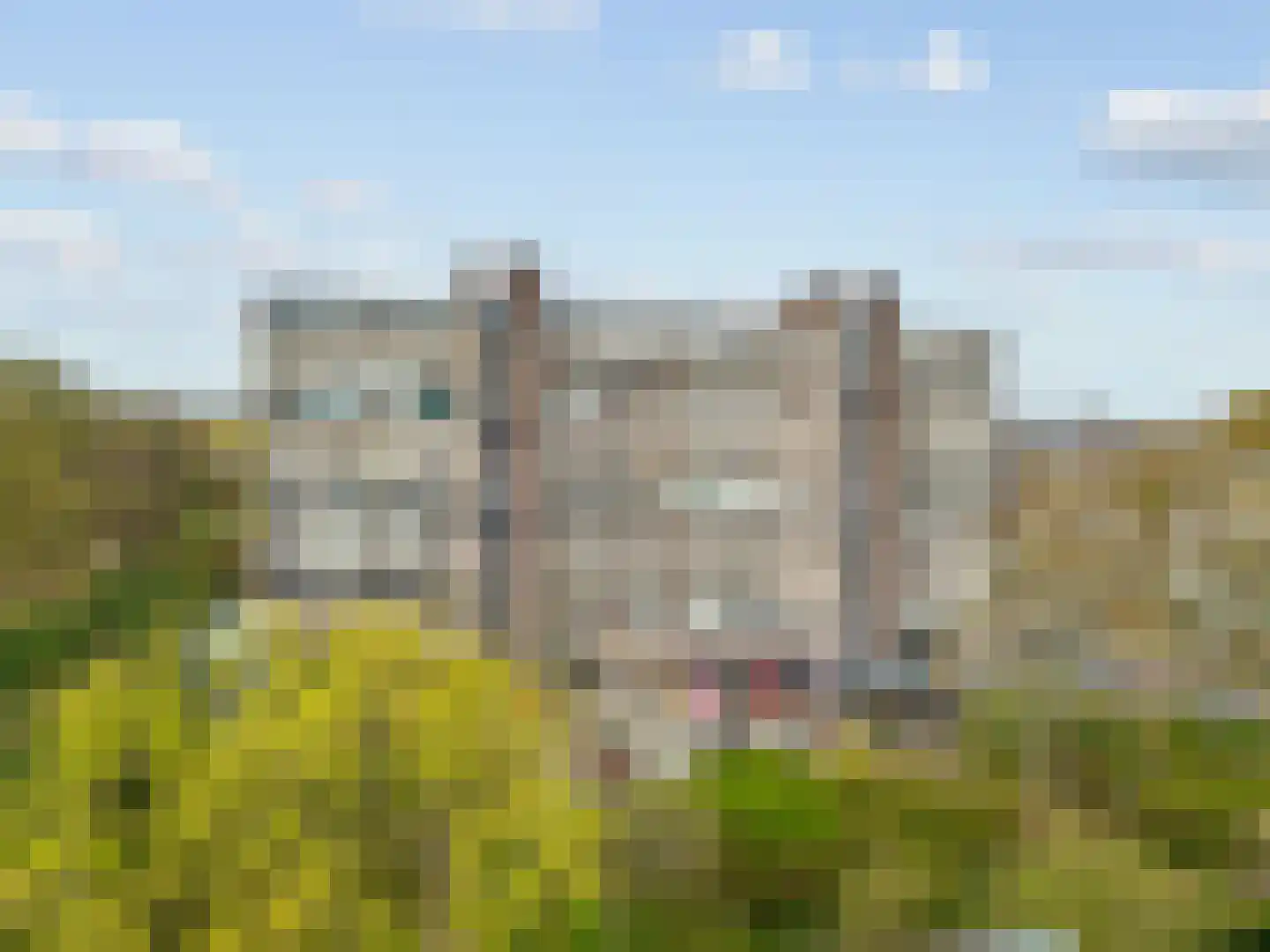 Laan van Berlijn 136 Haarlem thumbnail 7