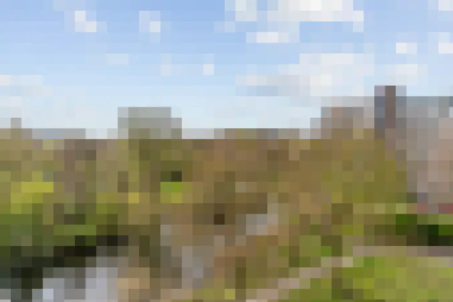 Laan van Berlijn 136 Haarlem thumbnail 8