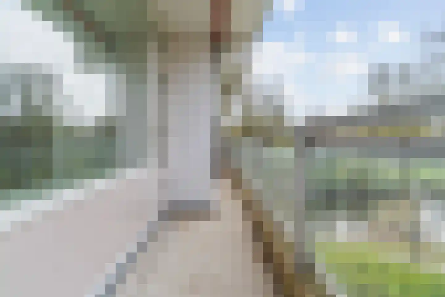 Laan van Berlijn 170 Haarlem thumbnail 18