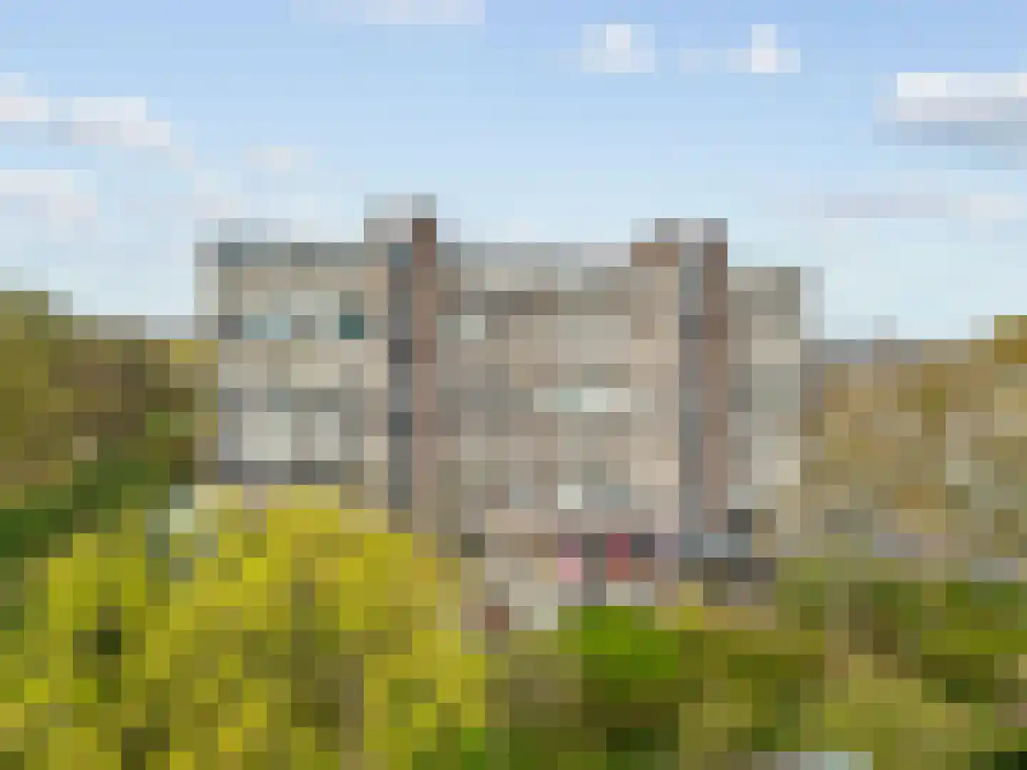 Laan van Berlijn 170 Haarlem thumbnail 23