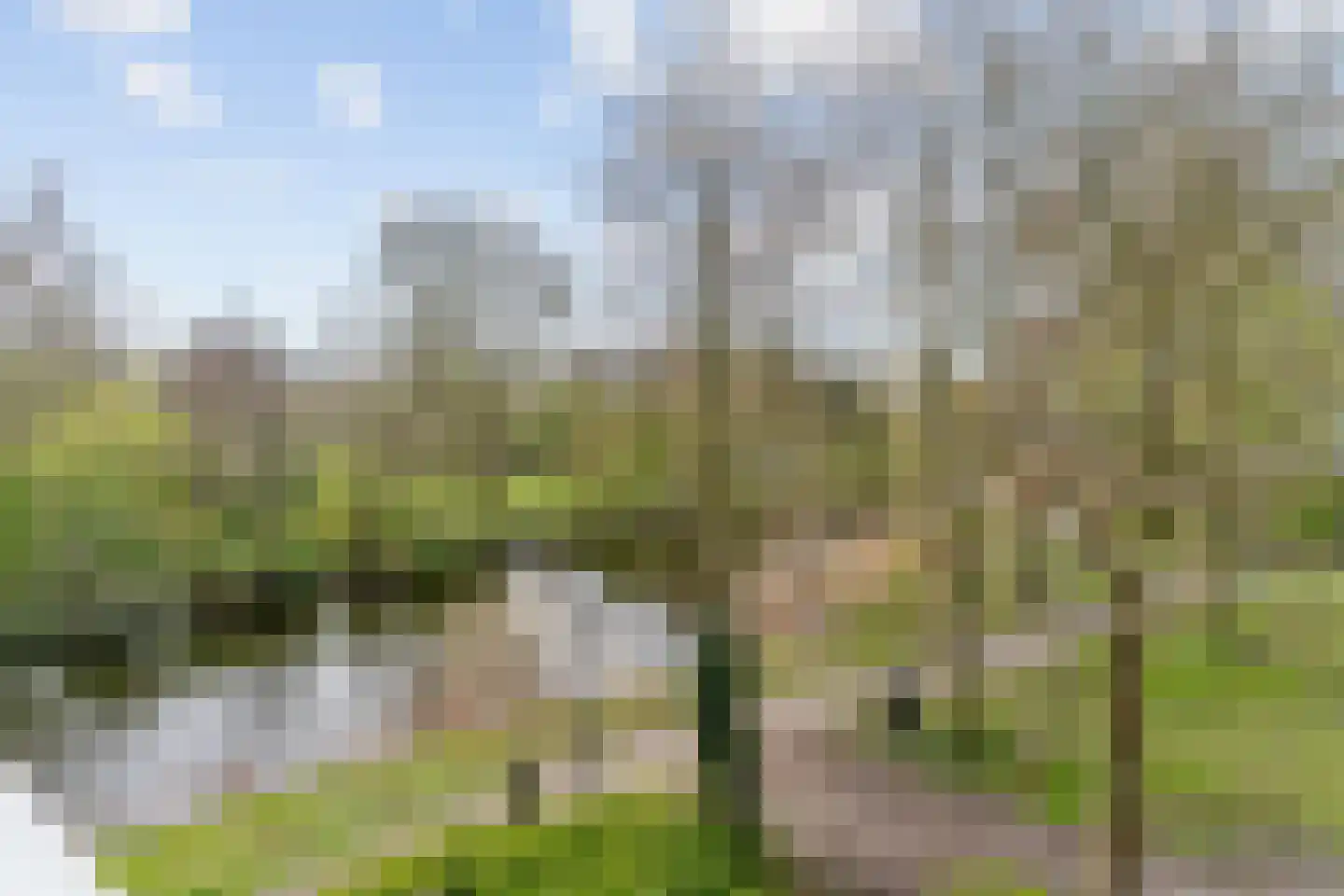 Laan van Berlijn 170 Haarlem thumbnail 28