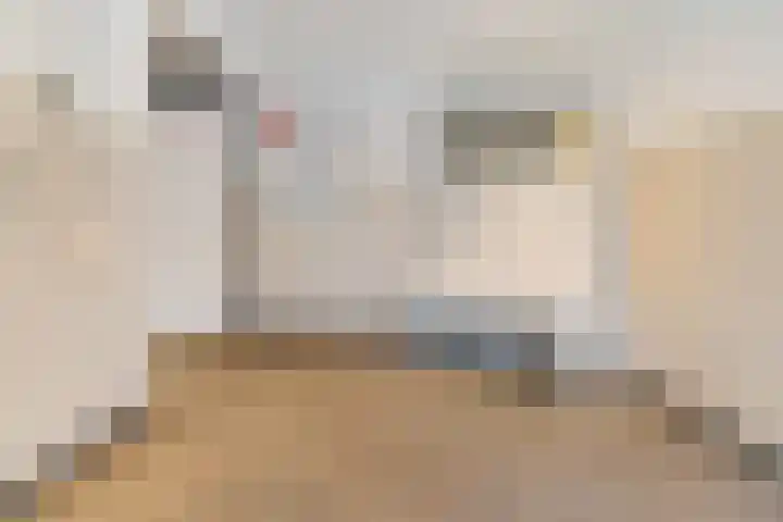 Laan van Berlijn 174 Haarlem thumbnail 10