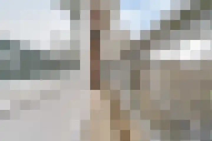 Laan van Berlijn 174 Haarlem thumbnail 23