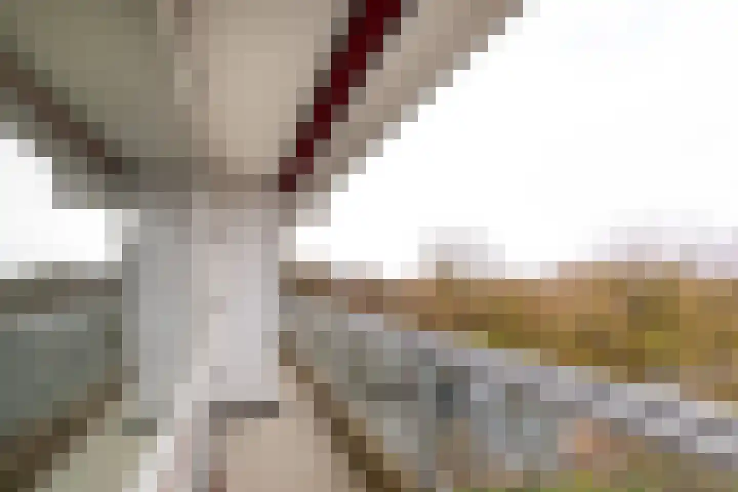 Laan van Berlijn 182 Haarlem thumbnail 16