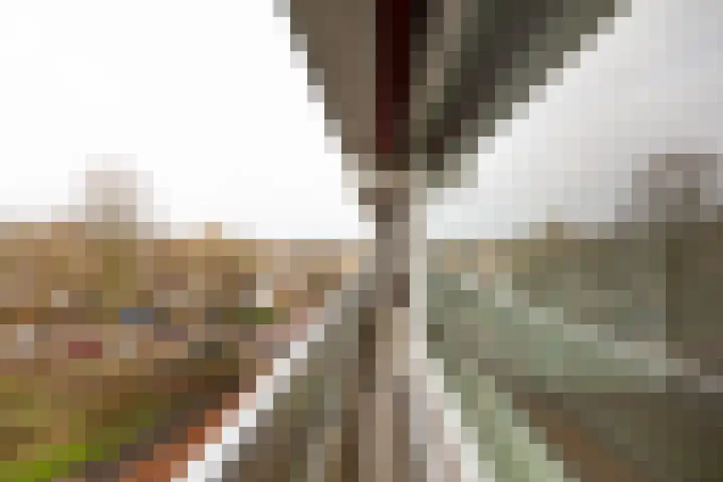 Laan van Berlijn 182 Haarlem thumbnail 17