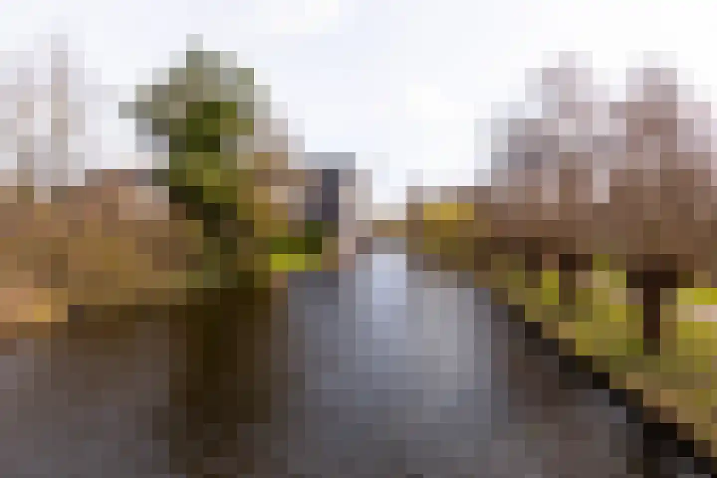 Laan van Berlijn 182 Haarlem thumbnail 27