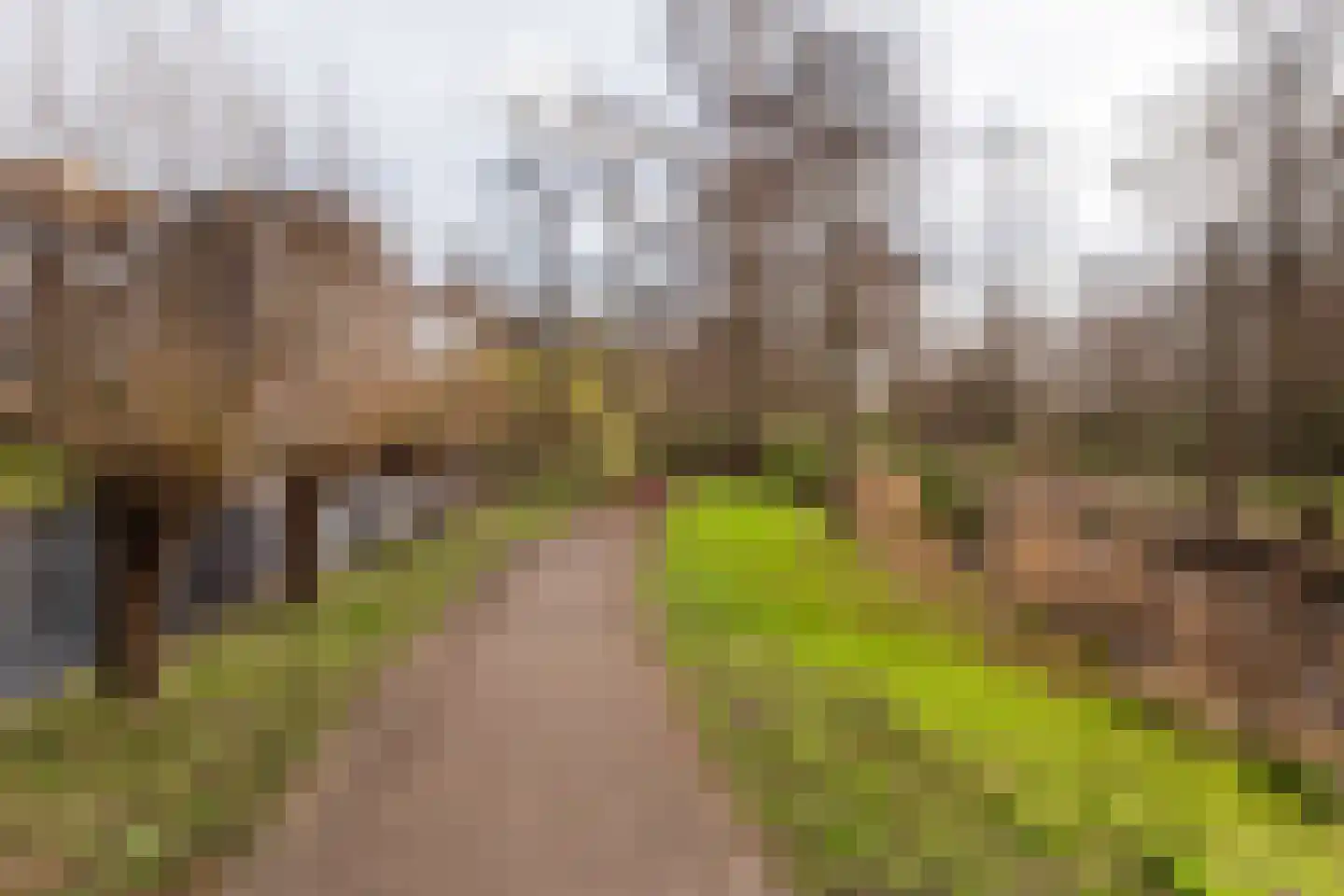 Laan van Berlijn 182 Haarlem thumbnail 28