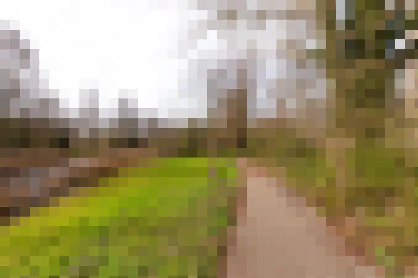 Laan van Berlijn 182 Haarlem thumbnail 30