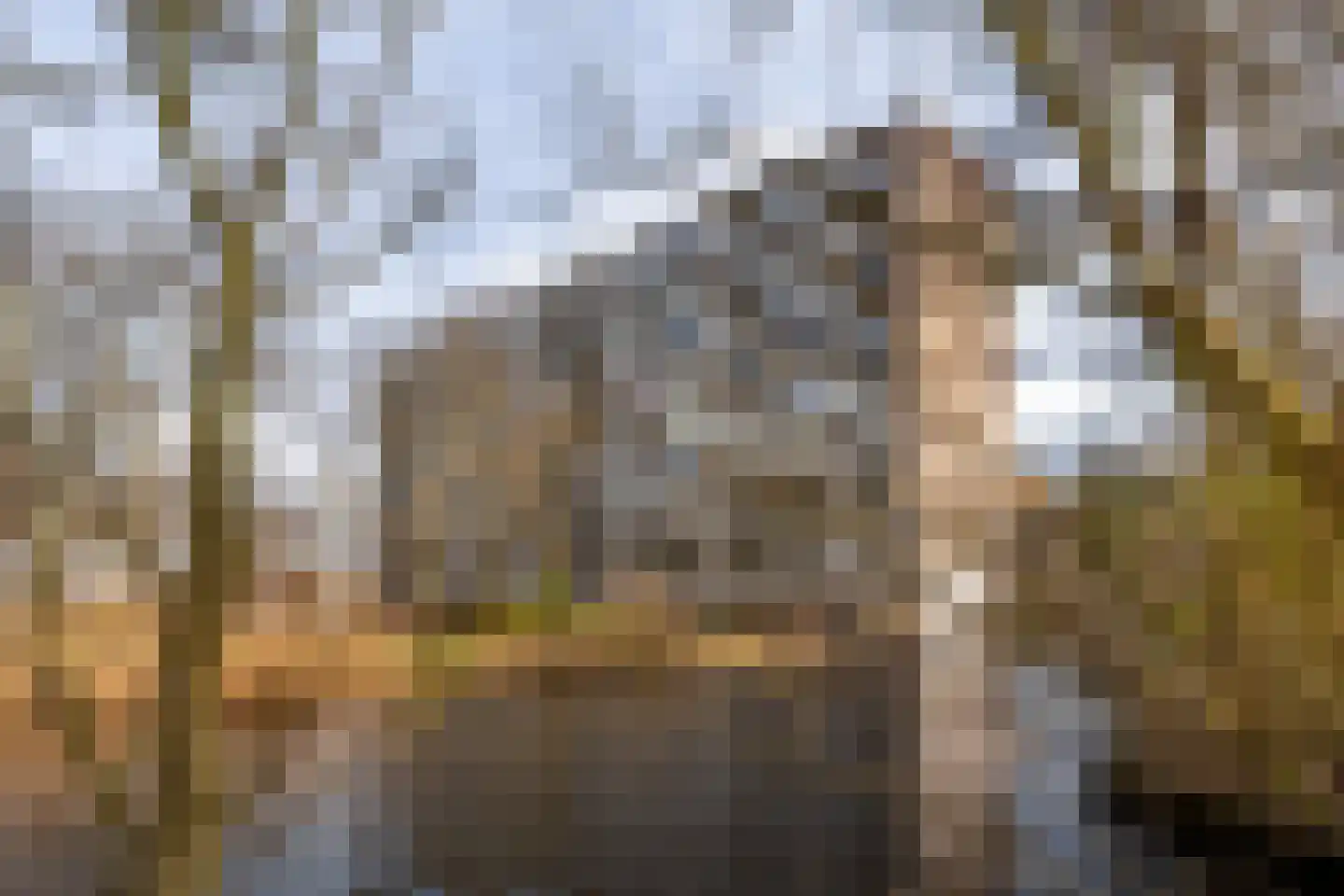 Laan van Berlijn 182 Haarlem thumbnail 32