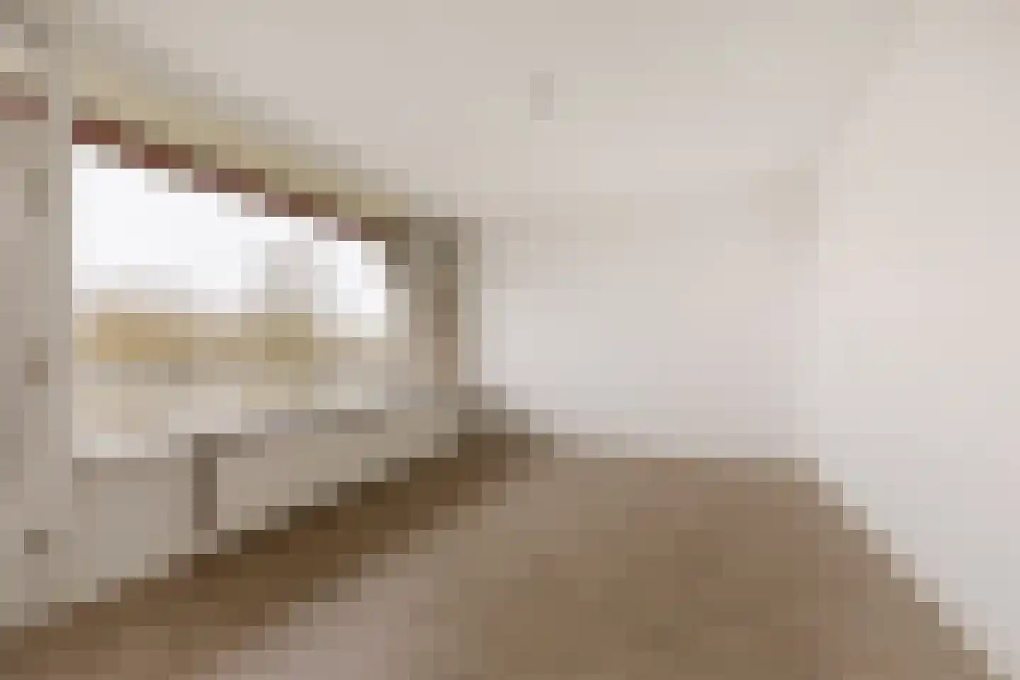 Laan van Berlijn 182 Haarlem thumbnail 9