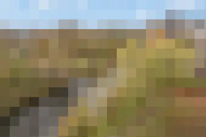 Laan van Berlijn 200 Haarlem thumbnail 15