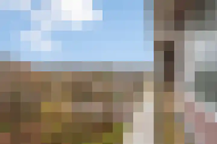 Laan van Berlijn 200 Haarlem thumbnail 16