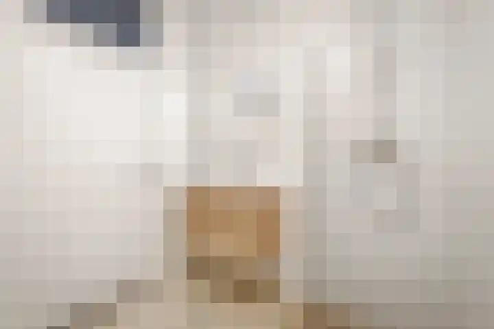 Laan van Berlijn 200 Haarlem thumbnail 22