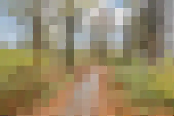 Laan van Berlijn 200 Haarlem thumbnail 28