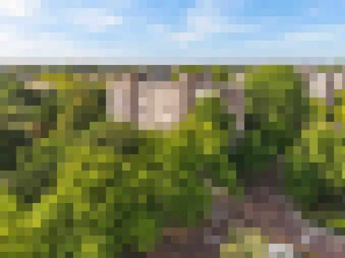 Laan van Berlijn 36 Haarlem thumbnail 23