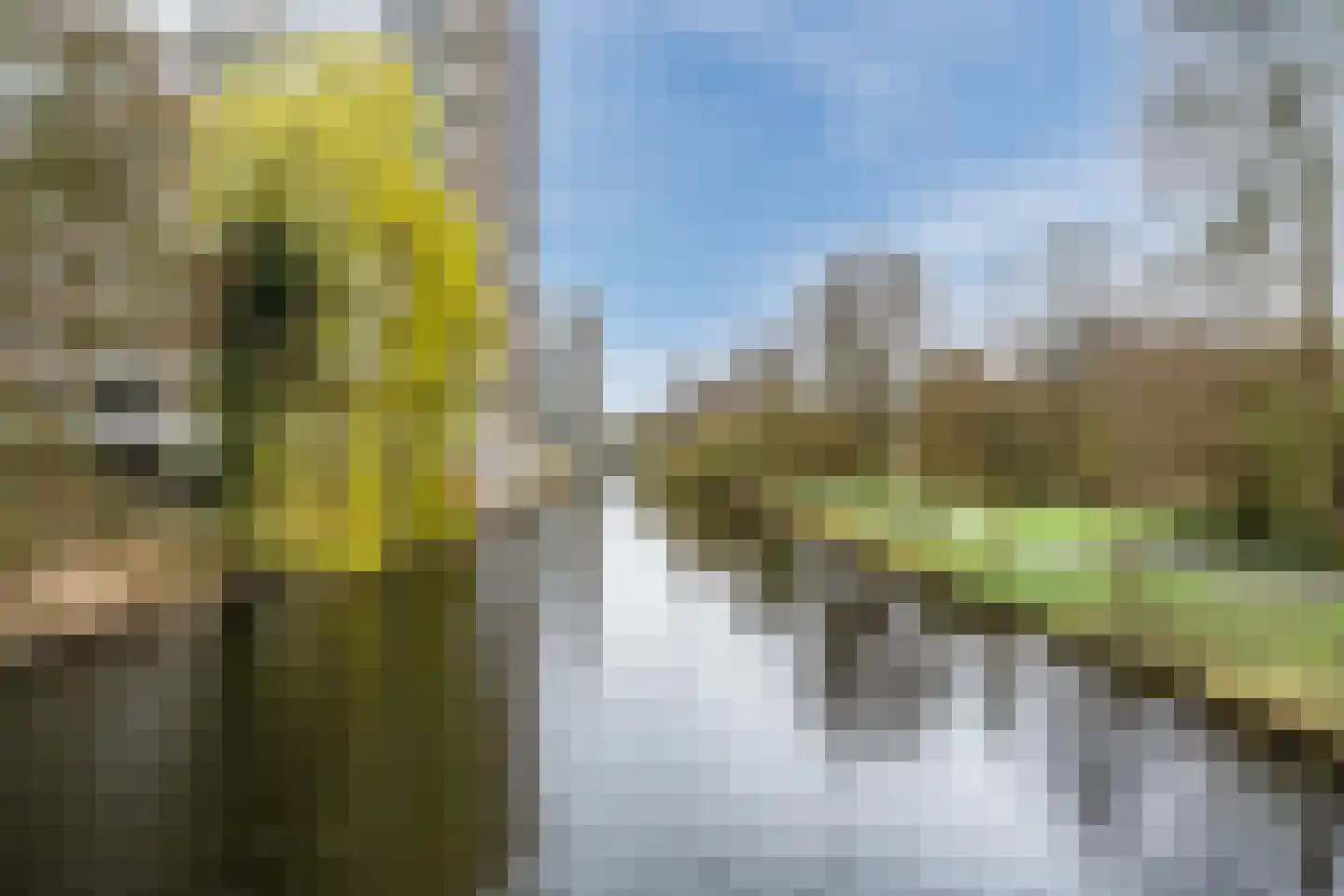 Laan van Berlijn 42 Haarlem thumbnail 30