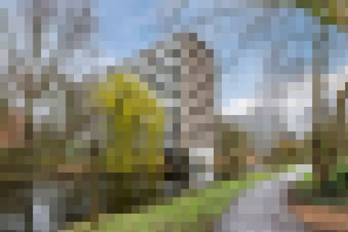 Laan van Berlijn 42 Haarlem thumbnail 31