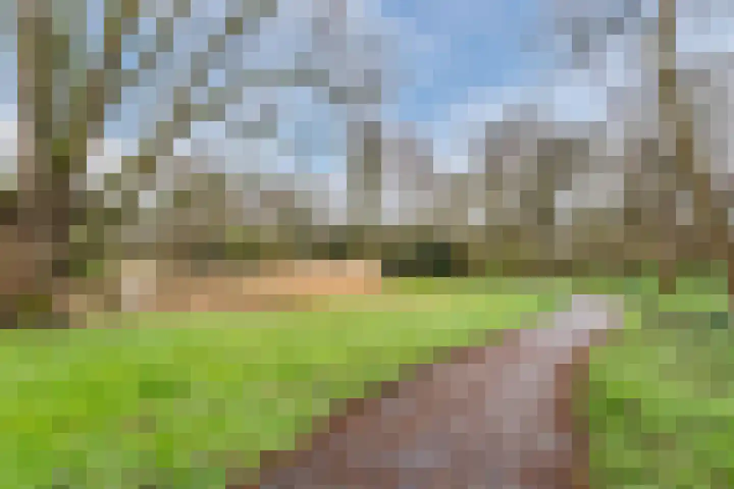 Laan van Berlijn 42 Haarlem thumbnail 34