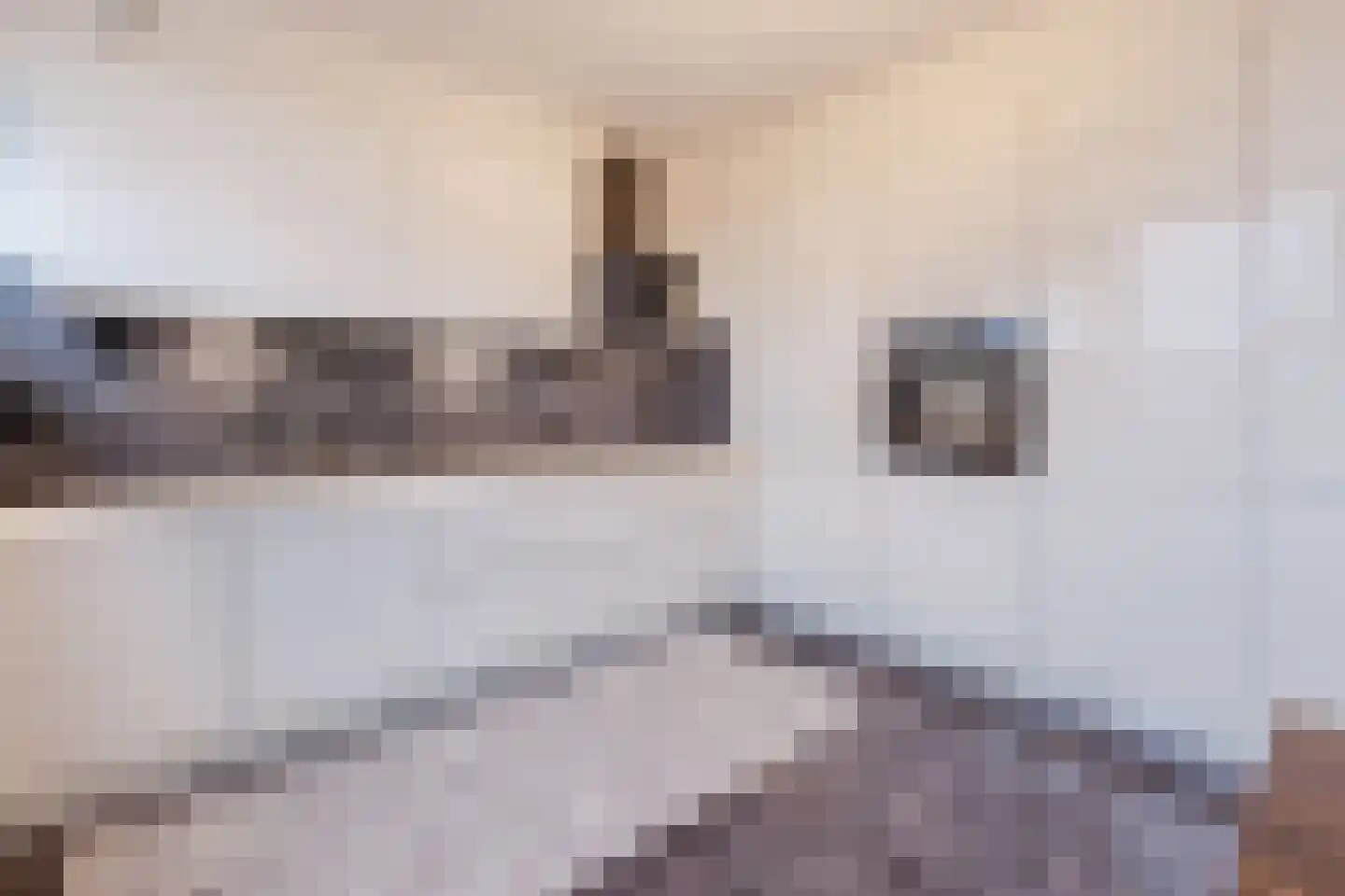 Laan van Berlijn 42 Haarlem thumbnail 8