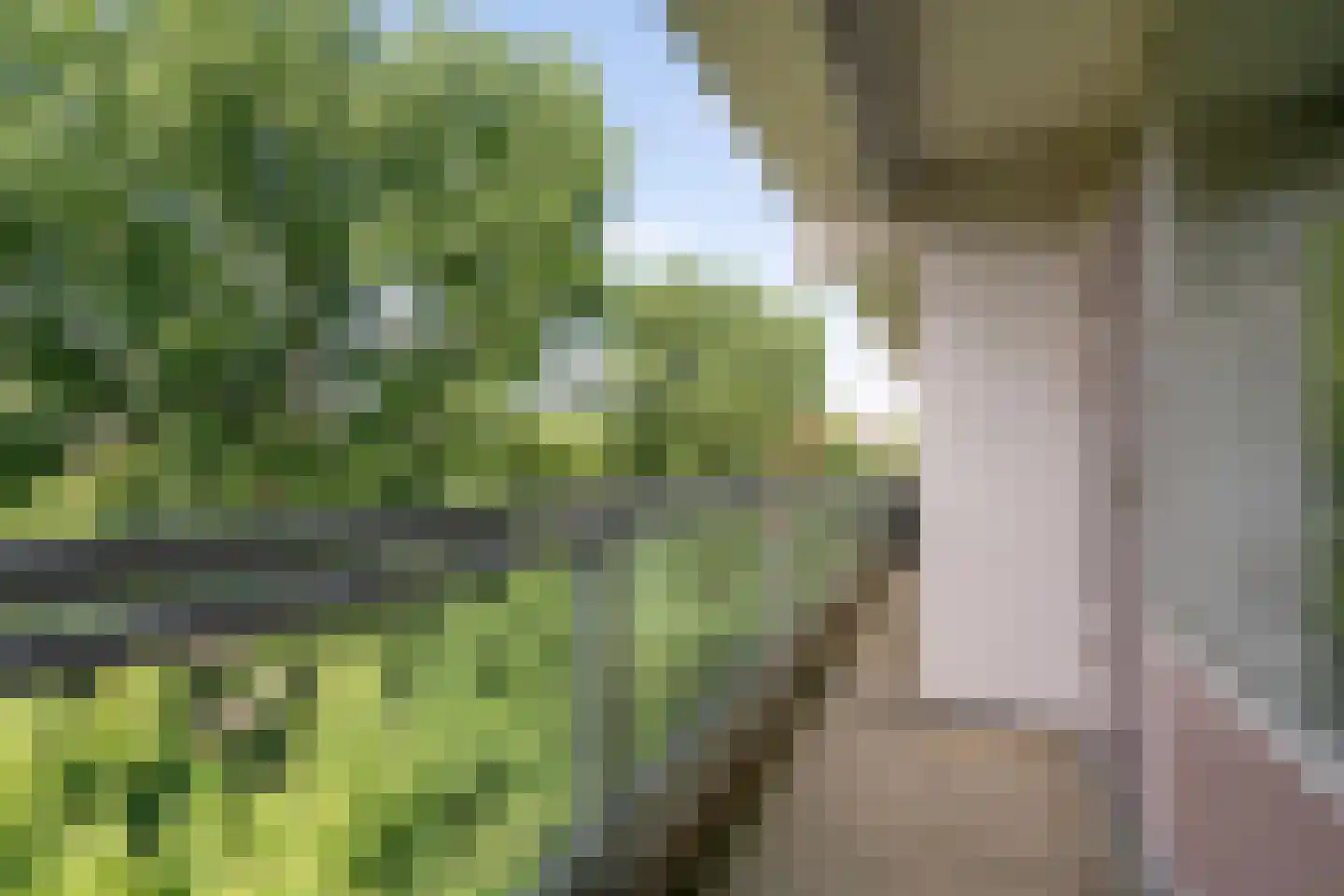 Laan van Berlijn 74 Haarlem thumbnail 11