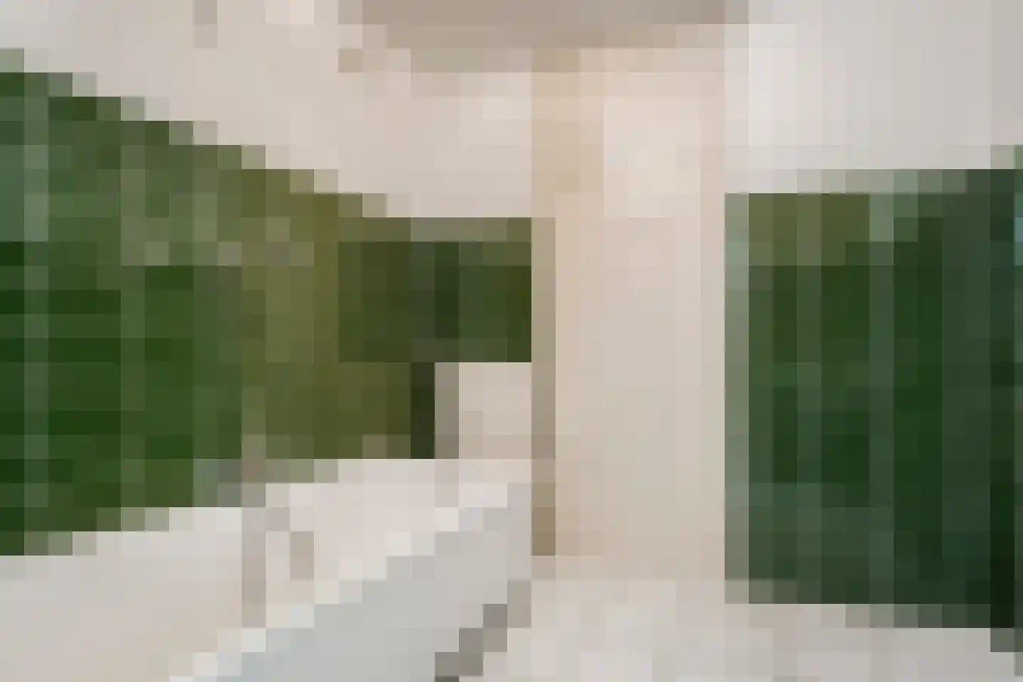 Laan van Berlijn 74 Haarlem thumbnail 27