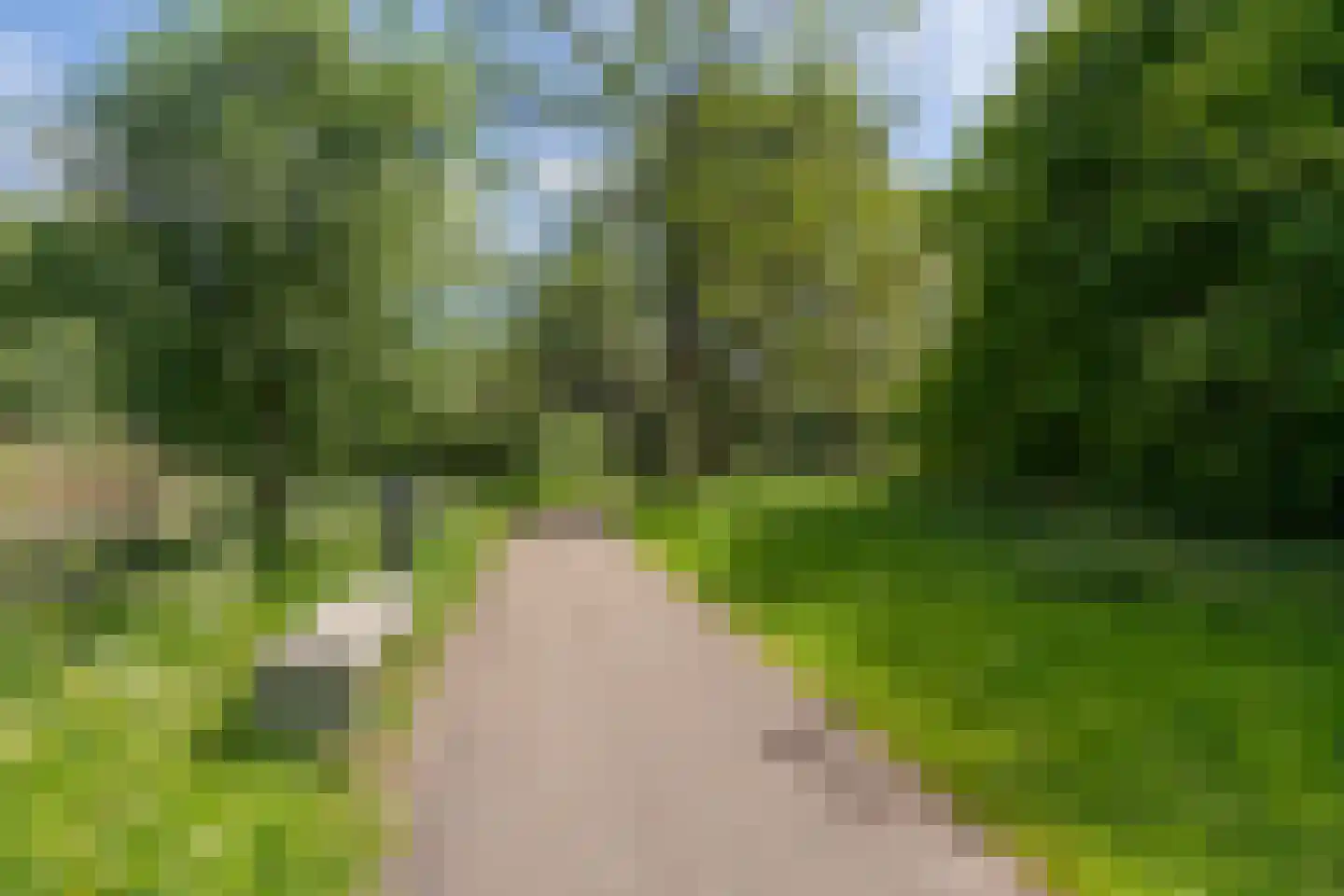 Laan van Berlijn 74 Haarlem thumbnail 35
