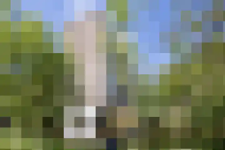 Laan van Berlijn 92 Haarlem thumbnail 26