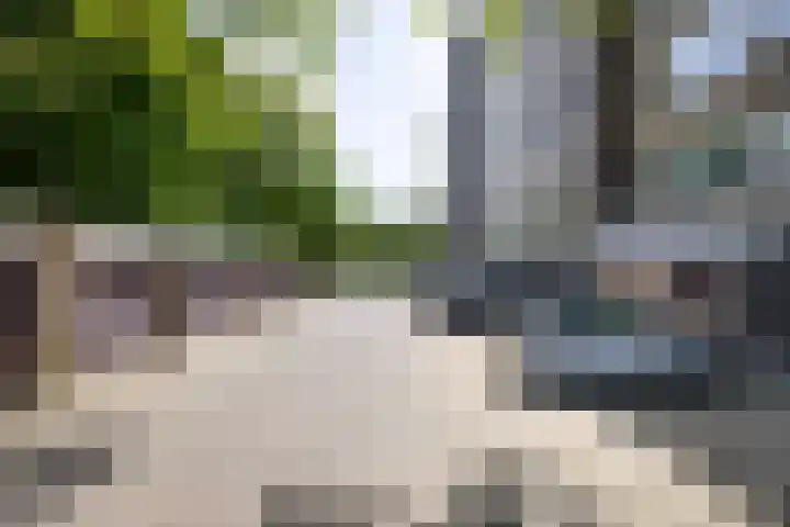 Laan van Berlijn 92 Haarlem thumbnail 27