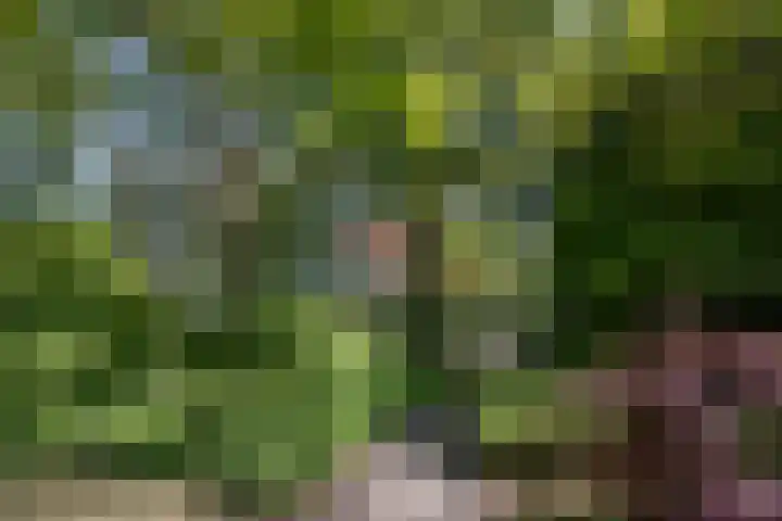 Laan van Berlijn 92 Haarlem thumbnail 28