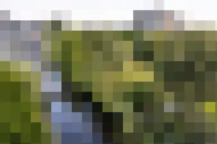 Laan van Berlijn 92 Haarlem thumbnail 30