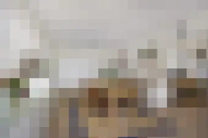 Laan van Berlijn 92 Haarlem thumbnail 4