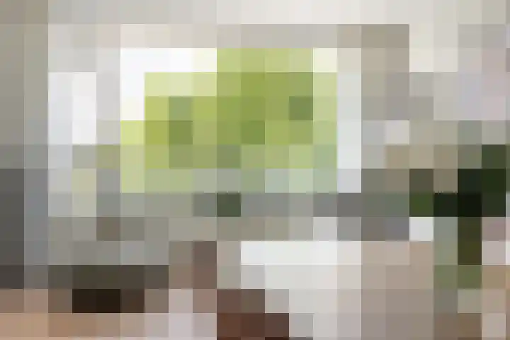 Laan van Berlijn 92 Haarlem thumbnail 5